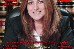 Law Offices of Bill J. Sayed, APLC