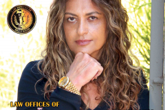 Evelin Law Office
