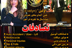 evlin-bill sayed