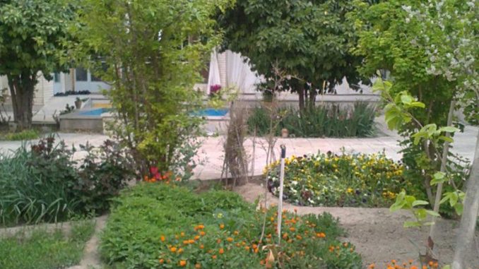 tehran weekly magazine